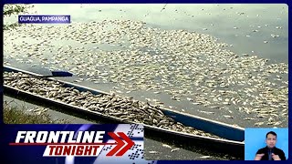 Libu-libong tilapia sa Guagua, Pampanga, biglang nangamatay | Frontline Tonight