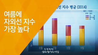 여름에 자외선 지수 가장 높다 - (20150729_551회 방송)_내 몸에 쌓이는 자외선, 여름 햇빛을  차단하라