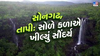 સોનગઢ, તાપી: સોળે કળાએ ખીલ્યું સૌંદર્ય, વનરાજી વચ્ચે ત્રણ-ત્રણ ધોધ સક્રિય | Tapi | TV9gujarati