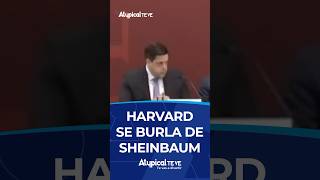 HARVARD SE BURLA DE SHEINBAUM | #shorts