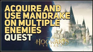 Acquire and use Mandrake on multiple enemies simultaneously Hogwarts Legacy