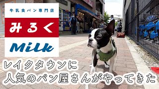 【ボストンテリア】レイクタウンに人気のパン屋さんがやってきた