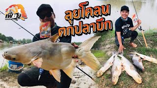 ลุยฝน ลุยโคลน! ตกปลาบึกต้องได้ตามเป้า!! Maekong cats, Kanchanaburi