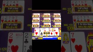 Five 7's, 12x - Nice Cash - Deuces Wild Bonus!