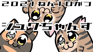 【シュワちゃんず】保護猫がやってきた【2021年10月】