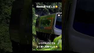 【どこでも振り子】N2000系は同じ振り子の2700系と比べても、よく傾く列車でした😁👍