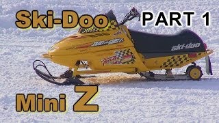 Ski-Doo Mini Z: Two Kids Riding PART 1  HDR-PJ790V