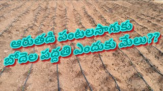 Dry crops cultivation in Raised bed system ||  బోదెల పద్దతిలో ఆరుతడి పంటల సాగు