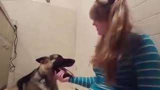 Whitney wisconsin singing Whitney wisconsin singing