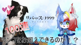 【リバース：1999】100連で可愛いワンコは何匹お迎えできるのかな？【ガチャ動画】