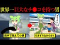 【実話】世界一巨大なものを持ったずんだもん【ずんだもん＆ゆっくり解説】