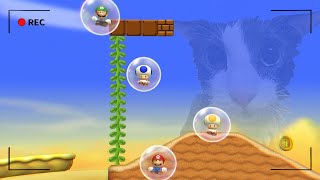 The Mario Bros Wii Disaster