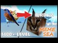 BIRD ГЭДЭГ RACE-ЭЭ V2 БОЛГОВ (meme sea)