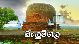 Balumgala | Kudumbigala Monastery | බැලුම්ගල චේතිය වන්දනා කරගැනිම