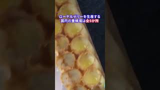 ローヤルゼリーの養蜂場を特別公開｜山田養蜂場　#shorts #ミツバチ #蜂