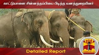 காட்டுயானை சின்னத்தம்பியை பிடித்த வனத்துறையினர் | Detailed Report