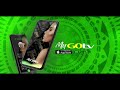 GOtv Kenya | #StoriZetuOnGOtv