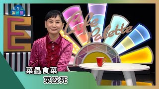 【亞蘭話俗語】EP157｜菜蟲食菜 菜跤死