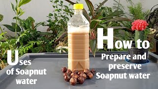 Naturally Preserved soapnut water for making self care products #bioenzyme #soapnuts #ecoproducts