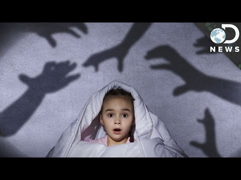 Why Do We Get Nightmares? Why Do We Get Nightmares?