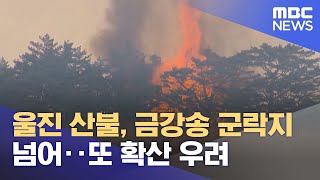 울진 산불, 금강송 군락지 넘어‥또 확산 우려 (2022.03.11/뉴스투데이/MBC)