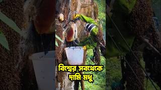 বিশ্বের সবথেকে দামি মধু || হ্যালুসিনেশন সৃষ্টিকারী দুর্লভ মধু  | Elvish Honey | Most Expensive Honey