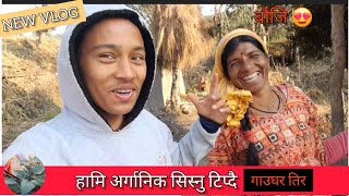 भाउजु सित सिस्नु टिप्दै || गाउँघरमा यति रमाइलो  || The village Vibes || Bhupendra ,Basanti