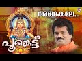 അങ്ങകലെ മലമേലെ | ayyappa devotional song malayalam | mg sreekumar |