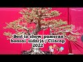 BEST IN SHOW PAMERAN  BONSAI SIDARJA/CILACAP 2022