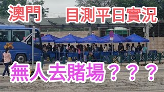 澳門自由行🚶目測平日實況🔥關閘口岸冷清？🗿@vincentchannel1114