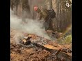 california wildfires scramble to save giant trees in sequoia national park