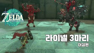 젤다 [왕눈] 라이넬 3마리 토벌 #대검 1.1.2 SCR 마지막 사용 영상