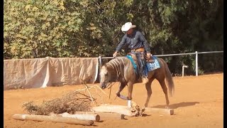 Australian Extreme Cowgirls Virtual Show Round 1 - Int. Over 18 - Ashir Kol \u0026 Rooster Like a Diamond