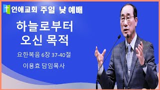 [인애교회] \