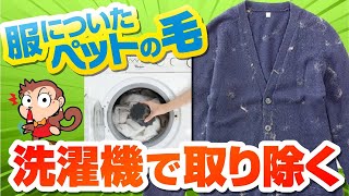 【ペット の悩み解決】コロコロかけずに洗濯機OK！犬 猫 の毛を洗濯しながら絡め取る コイツは便利！