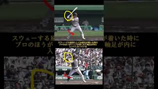 巨人浅野翔吾選手のバッティングフォームを高校と比較【差し込まれる原因とは】