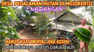 WOW !! DESA PEDALAMAN HUTAN DI MOJOKERTO \