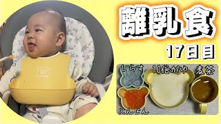 離乳食17日目【生後5ヶ月】【離乳食初期】