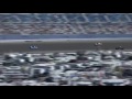 2013 nscs kobalt tools 400 @ las vegas full race