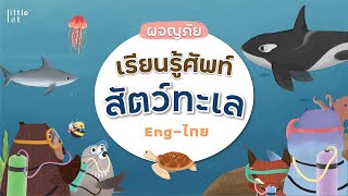 การ์ตูนทายศัพท์ สัตว์ทะเล | Sea Animals | อังกฤษ - ไทย | เพลงเด็ก | Under the sea by LittleLot