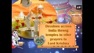 Devotees across India throng temples to offer prayers to Lord Krishna - Uttar Pradesh News