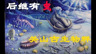 寒武纪关山古生物群