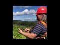 a day in the life of a silviculture coordinator