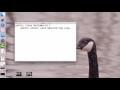 Java: Hello World on OS X