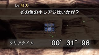 【MHW:IB】ドスキレアジ2匹の狩猟 捕獲用ネット ソロ【アイスボーン】