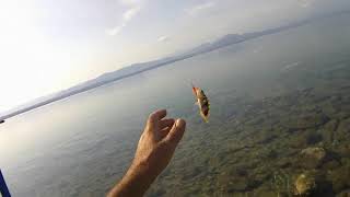 ΨΑΡΕΜΑ ΚΑΙ LRF TIPS. LRF TIPS WHILE FISHING