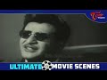 ntr as vakeel saab super star krishna and savitri ultimate movie scenes teluguone