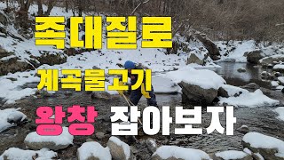 영하에 날씨  족대질로 고급어종 왕창 잡아서 먹어보자/ 씨래기민물고기찜  물반 고기반 바글바글