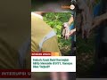 🔴 heboh anak babi berwajah mirip manusia di ntt kenapa bisa terjadi