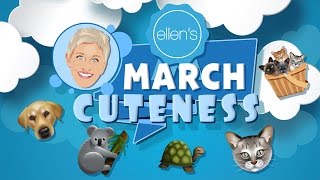 Announcing March Cuteness!